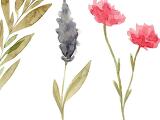 Bauernhausmuseum Amerang: Bienenleben entdecken und Blütenbilder mit Naturpigmenten gestalten
