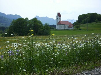 Sonntagslesung zum 25. Sonntag im Jahreskreis