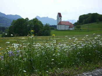 Sonntagslesung zum 31. Sonntag im Jahreskreis
