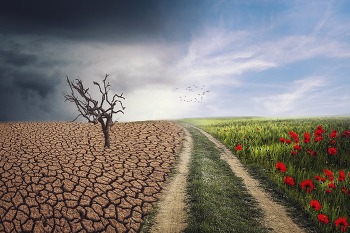 Geschlechtergerecht klimaneutral werden