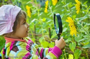 Mit Kindern die Welt der Pflanzen erleben