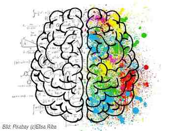 Graue Zellen brauchen Farbe - Training fürs Gehirn